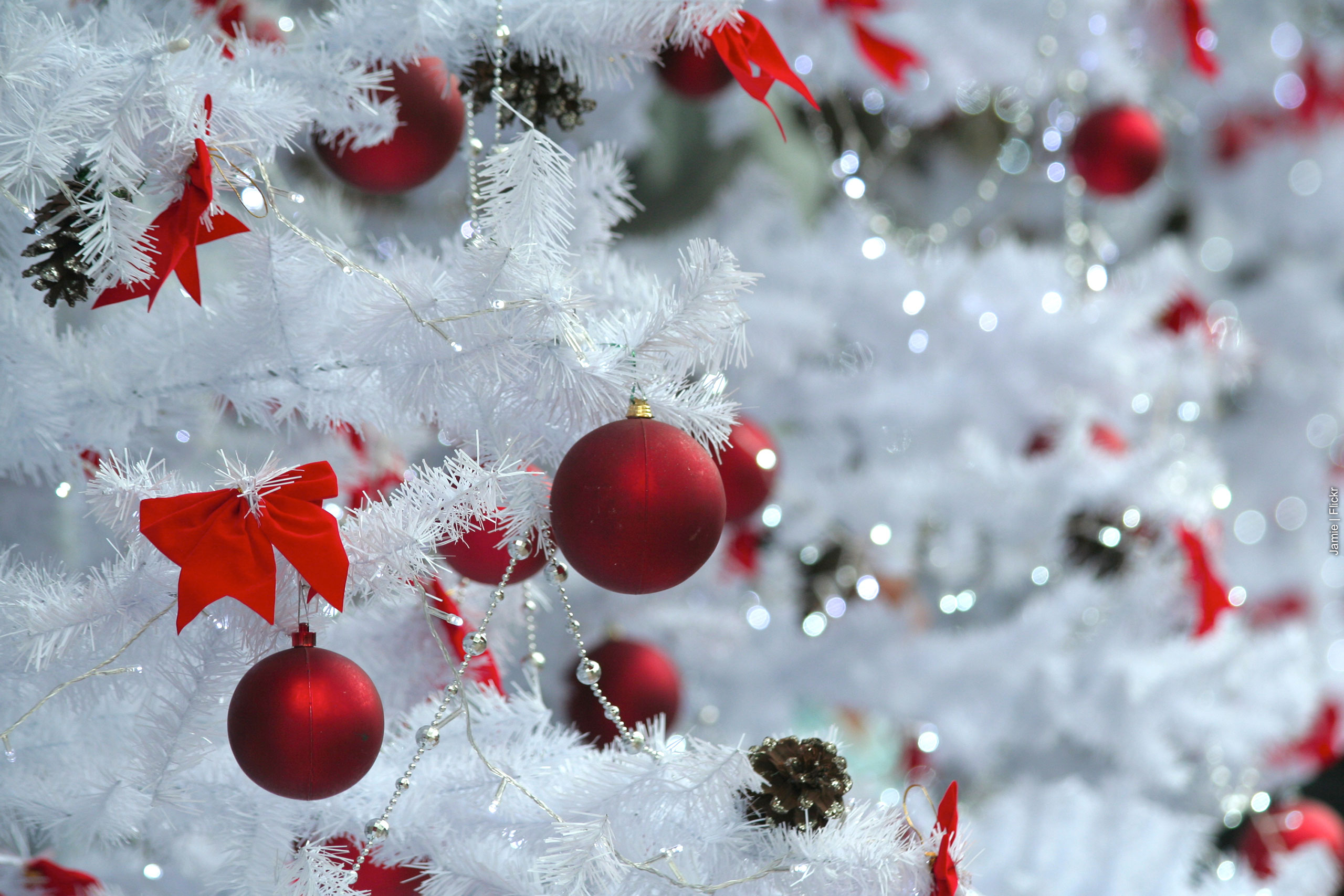 Ornaments in white Christmas tree