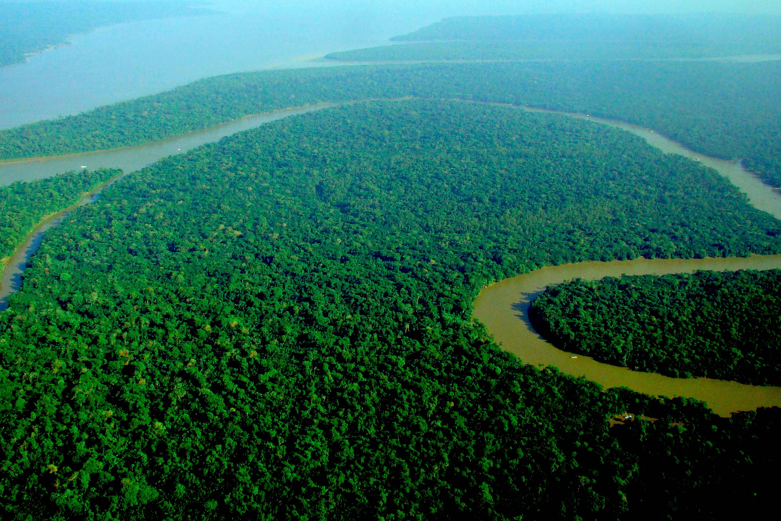 aerial view of the Amazon river